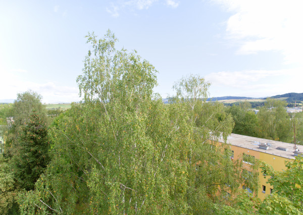 Byt 3+1 (72 m2) s loggiou, ul. Javorová sídl. Tarča SNV