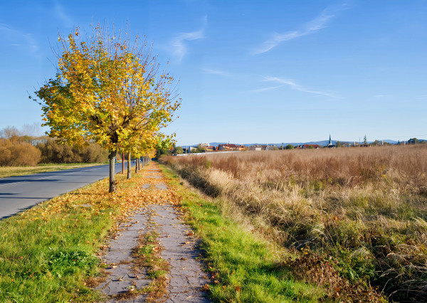 Prenájom! Pozemok (4000 m2) Spišská Nová Ves