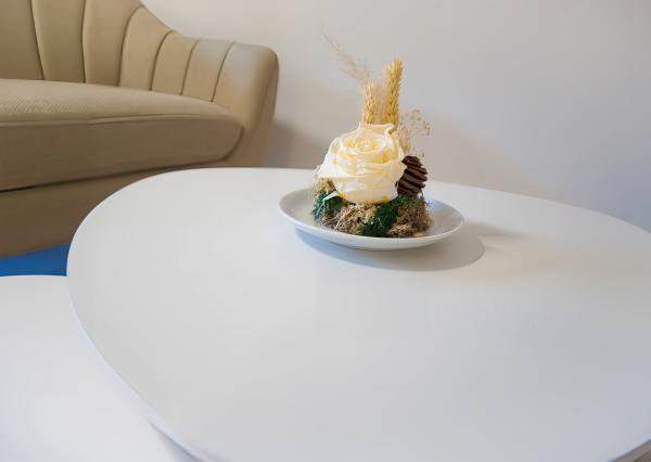 PRENÁJOM! Byt 1+1 (44 m2) s dvomi loggiami, sídl. Tarča v Sp. N. Vsi