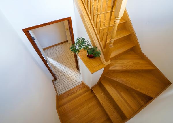 Multifunkčný dom s veľkým pozemkom (1656 m2) Veľká Lomnica