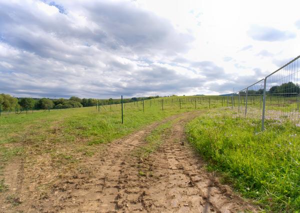 UŽ LEN TRI záhradky (300 m2) ZO Hlinica Spišská Nová Ves