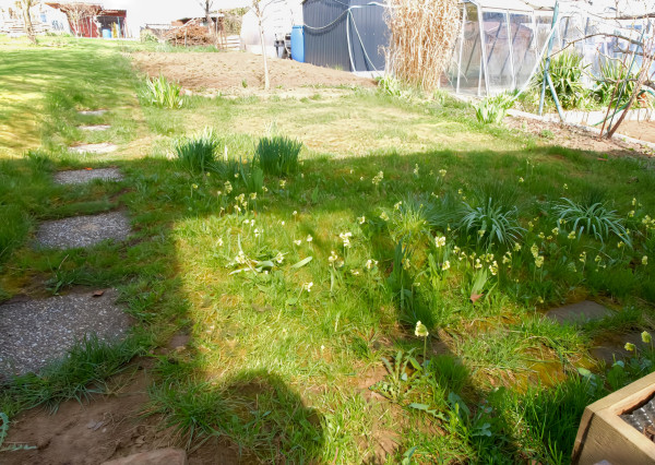 Záhrada s chatkou ( 282 m2) sídl. Mier Spišská Nová Ves