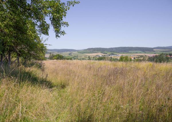 RD s ovocným sadom (3 629 m2) pri Spišskej Kapitule