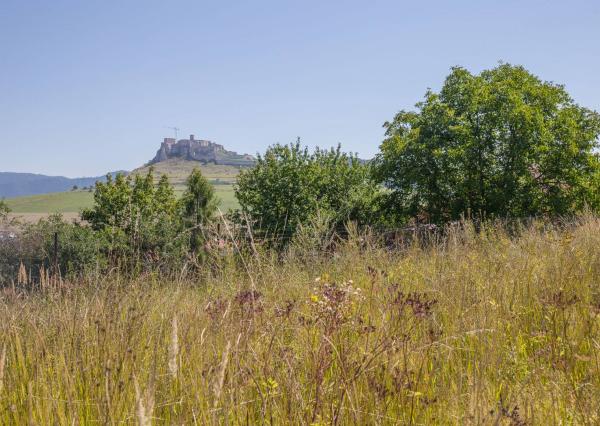 RD s ovocným sadom (3 629 m2) pri Spišskej Kapitule