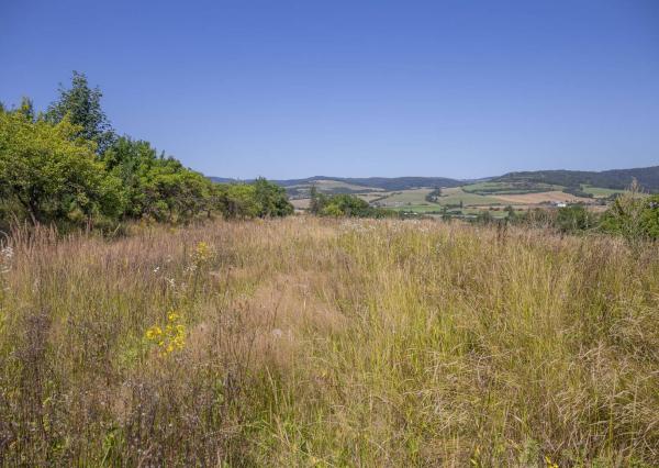 RD s ovocným sadom (3 629 m2) pri Spišskej Kapitule