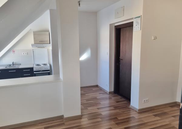 PRENÁJOM Garsónka ( 29m2) v blízkosti mesta na Fabiniho ulici v Sp. N. Vsi