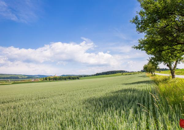 Lokalita Sivá Brada
