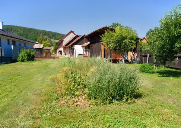 Rodinný dom (1 293 m²) s  veľkou záhradou a stodolou, Domaňovce