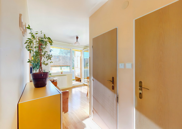 Byt 2+1 (56 m2) s balkónom, Dubová ul.Sp. Nová Ves
