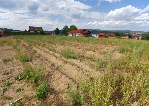 Stavebný pozemok (1 447 m²) rovinatý, s výhľadmi, Spišský Hrhov