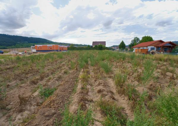 Stavebný pozemok (1 447 m²) rovinatý, s výhľadmi, Spišský Hrhov