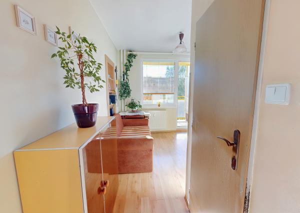 Byt 2+1 (56 m2) s balkónom, Dubová ul.Sp. Nová Ves