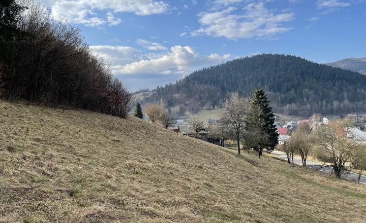 Pozemok (2538m2), Nálepkovo, okr. Gelnica - fotografia 8