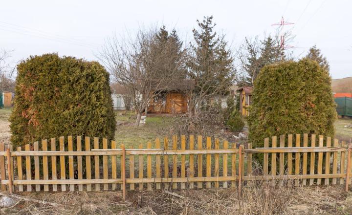 Záhrada (266 m2) s chatkou, Spišská Nová Ves - fotografia 7