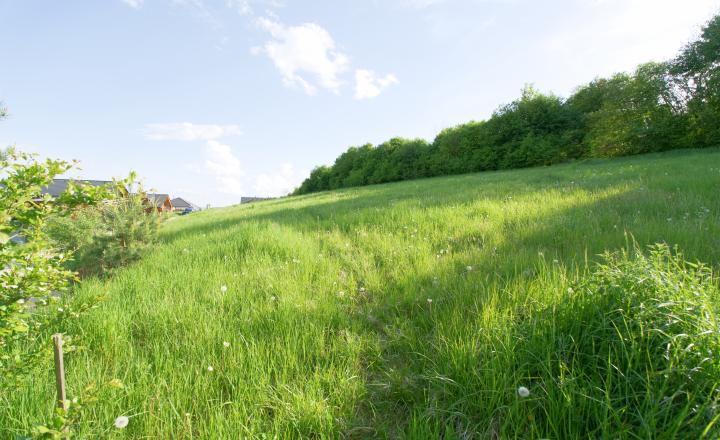 Stavebný pozemok (1008 m2) Spišský Hrhov - fotografia 17