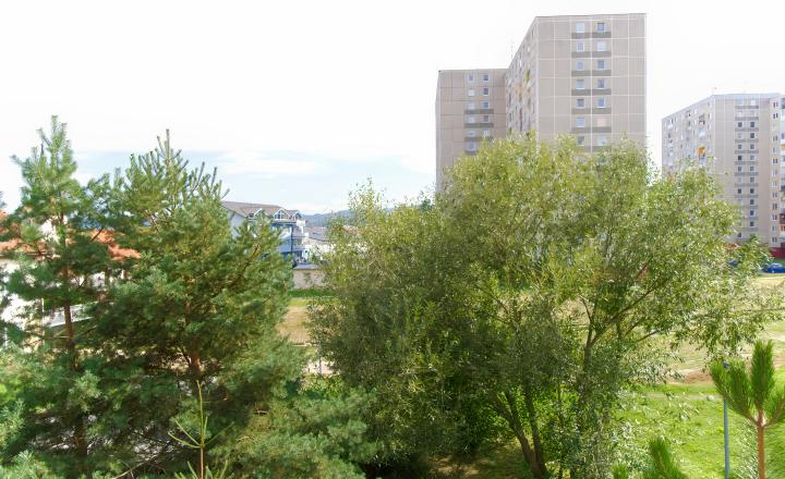 Byt 1+1 (38 m2) s balkónom, P. Suržina Smižany - fotografia 5