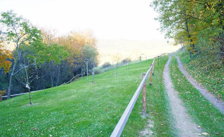 Chalupa s výhľadom na Levočské vrchy - fotografia 37