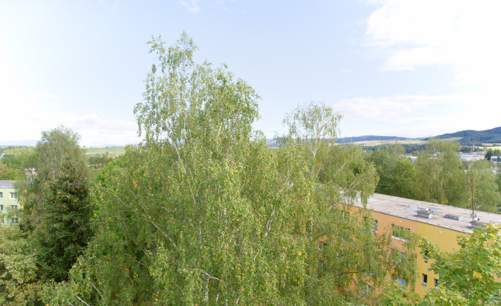 Byt 3+1 (72 m2) s loggiou, ul. Javorová sídl. Tarča SNV - fotografia 7