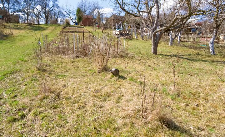 Záhrada s chatkou (363 m2) sídl. Mier Spišská Nová Ves - fotografia 4
