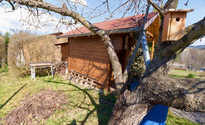 Záhrada s chatkou (363 m2) sídl. Mier Spišská Nová Ves - fotografia 16