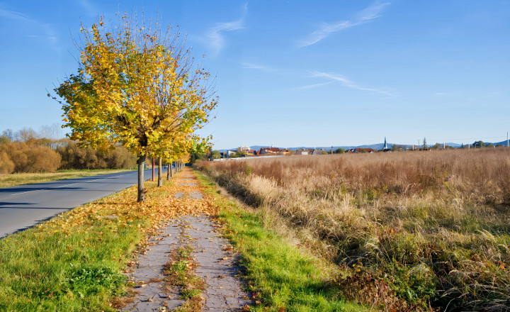 Prenájom! Pozemok (4000 m2) Spišská Nová Ves - fotografia 3