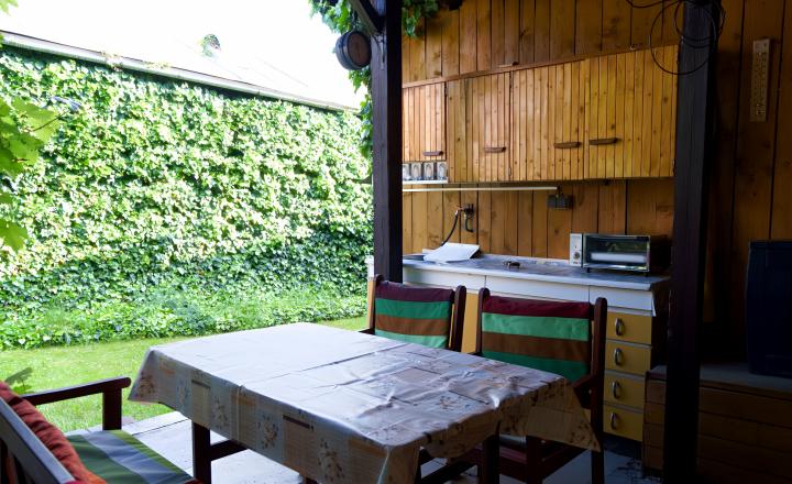 RD - chalupa s veľkou záhradou v obci Nálepkovo - fotografia 19