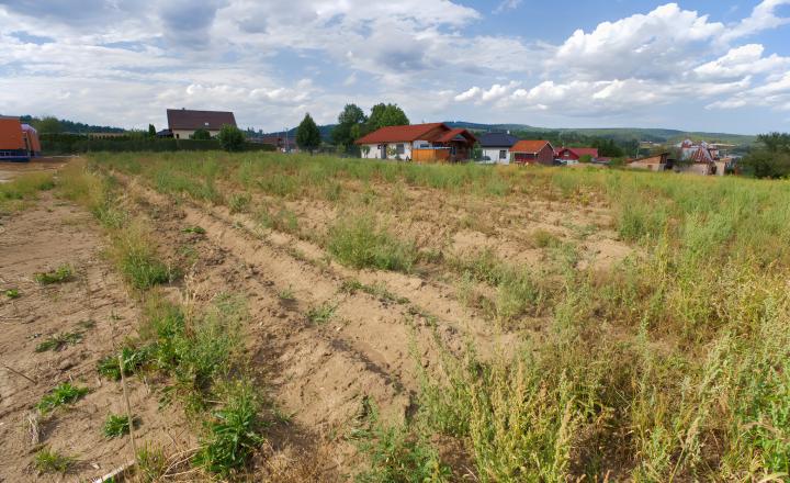 Stavebný pozemok (1 447 m²) rovinatý, s výhľadmi, Spišský Hrhov - fotografia 4