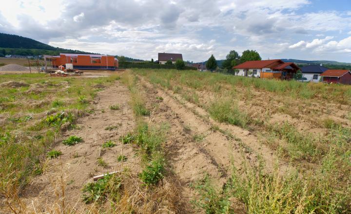 Stavebný pozemok (1 447 m²) rovinatý, s výhľadmi, Spišský Hrhov - fotografia 5