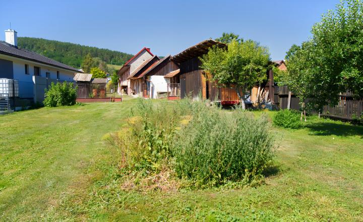 Rodinný dom (1 293 m²) s  veľkou záhradou a stodolou, Domaňovce - fotografia 5