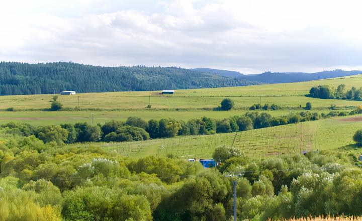 UŽ LEN JEDNA ZÁHRADKA (300 m2) ZO Hlinica Spišská Nová Ves - fotografia 6