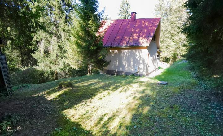 Rekreačná chata po rekonštrukcii pri rybníku, Zahura – Spišské Vlachy - fotografia 24